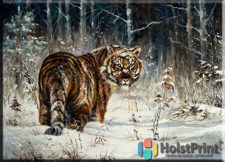 Картинки Тигра